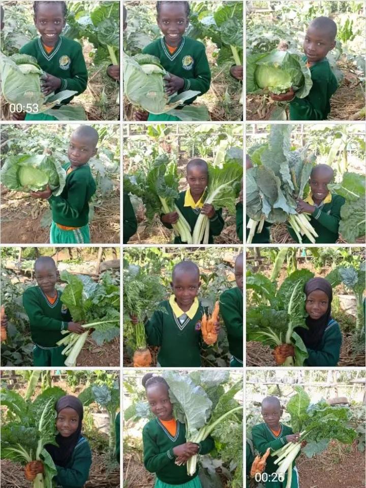 Children harvesting vegetables